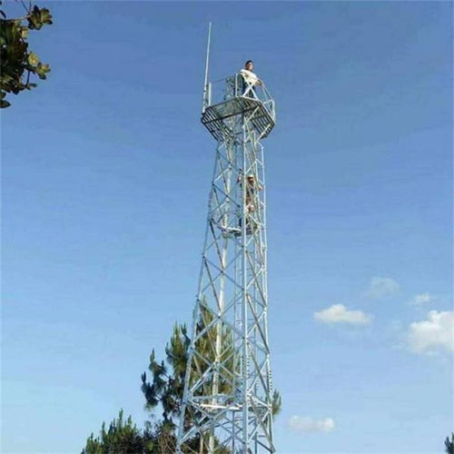 涉縣森林避雷塔廠家睿昌通信工程 登高眺望，鑄就網(wǎng)絡(luò)工程新高度